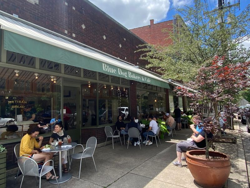 13 Louisville, Kentucky Coffee Shops Where Locals Choose To Spend Their Mornings - Decor Hint Blue Dog Bakery & Cafe