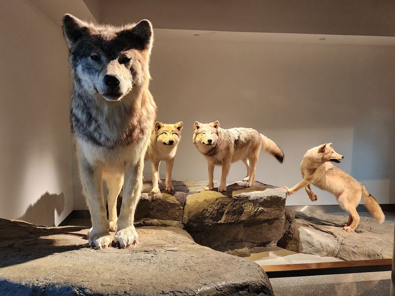 Mashantucket Pequot Museum & Research Center, Mashantucket