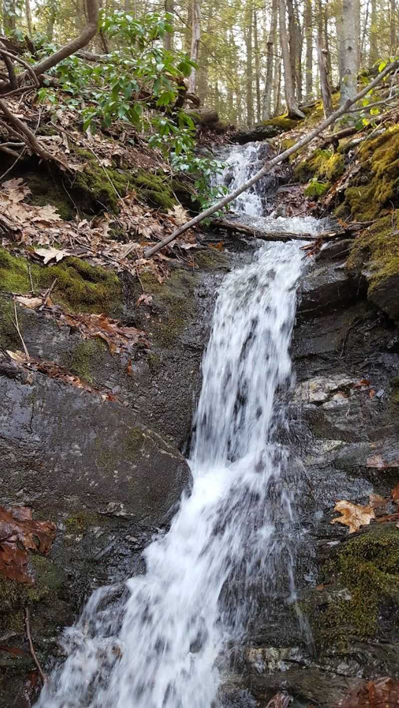 Bolton Notch Trails