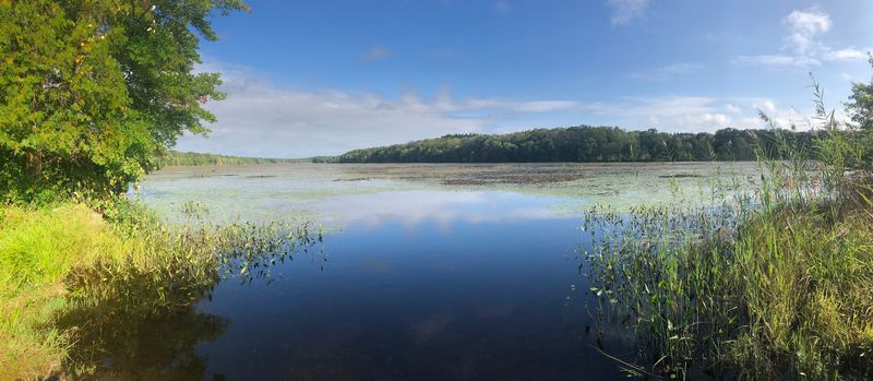 James L. Goodwin State Forest, Hampton