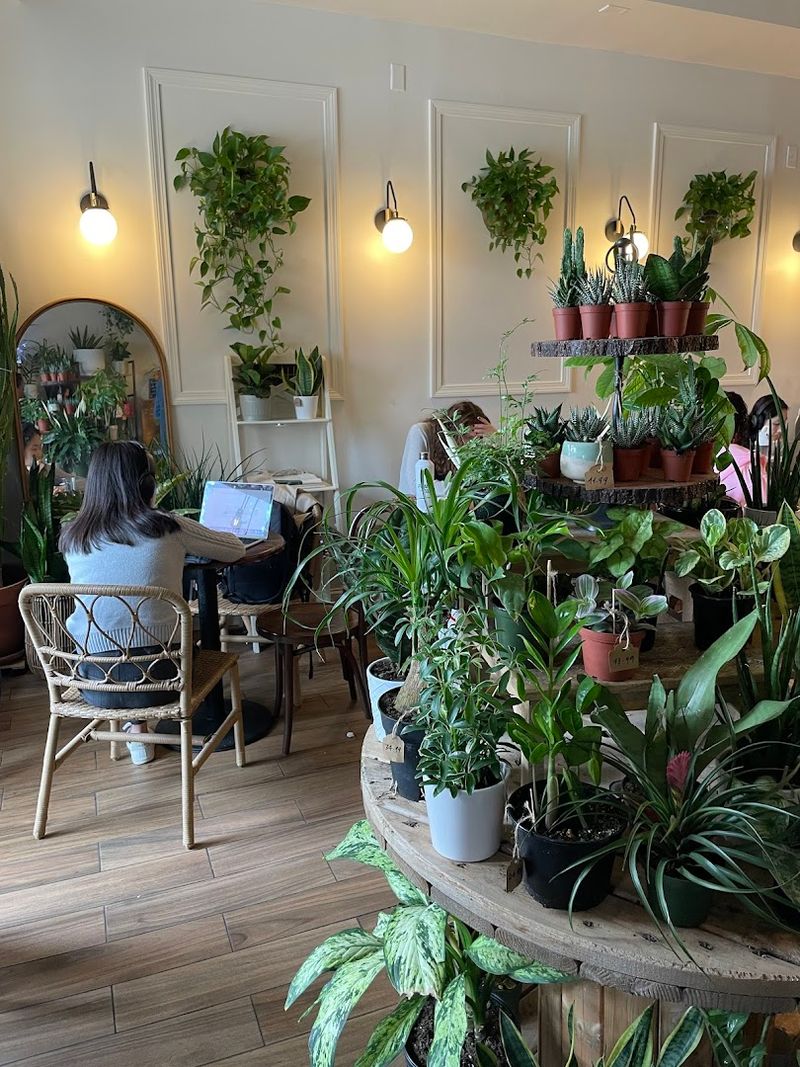 Green Haus Cafe, Boston