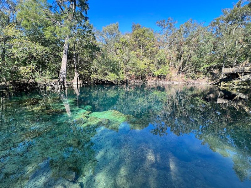 Royal Springs Park, O'Brien