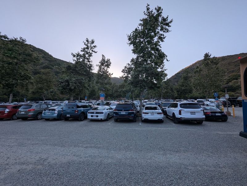 Parking Now Feels Like Part Of The Trip