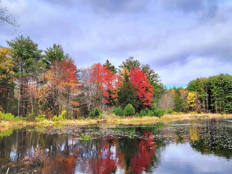 Why Litchfield Is More Than Just Pretty Scenery