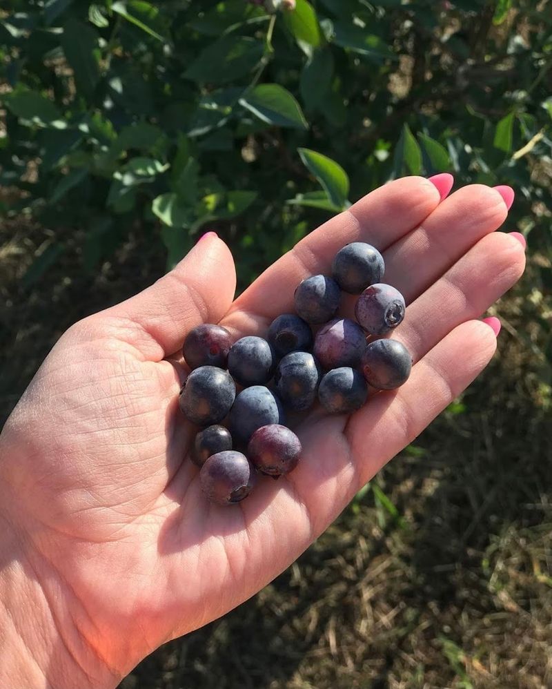 A Farm Worth Returning To Every Season