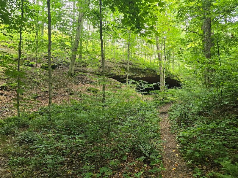 Zaleski State Forest