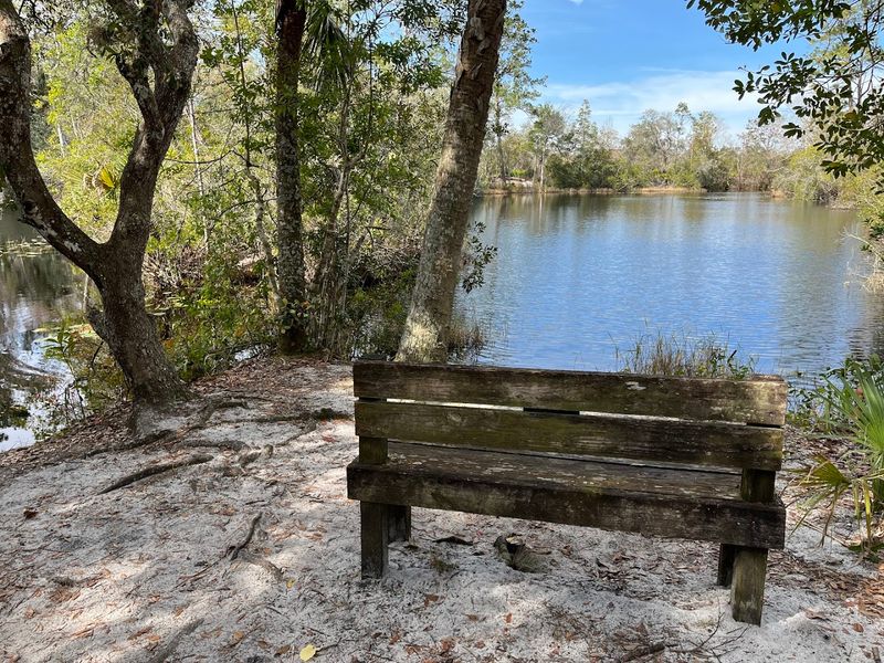 10 Florida Trails Where Easy Walks Lead To Surprisingly Unforgettable Views - Decor Hint Wekiwa Springs Sand Lake Trail