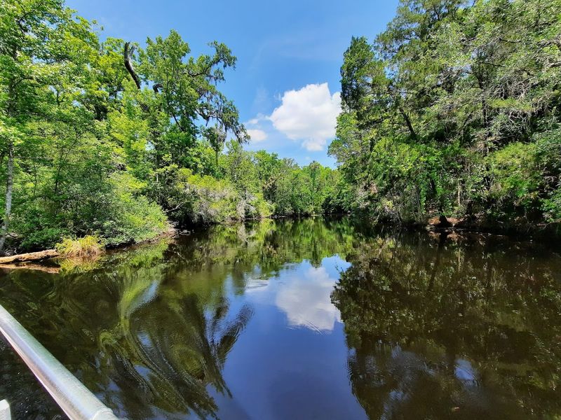 The Scenic Pontoon Boat Ride