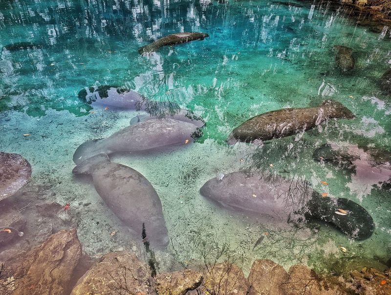 Three Sisters Springs, Worth Every Step