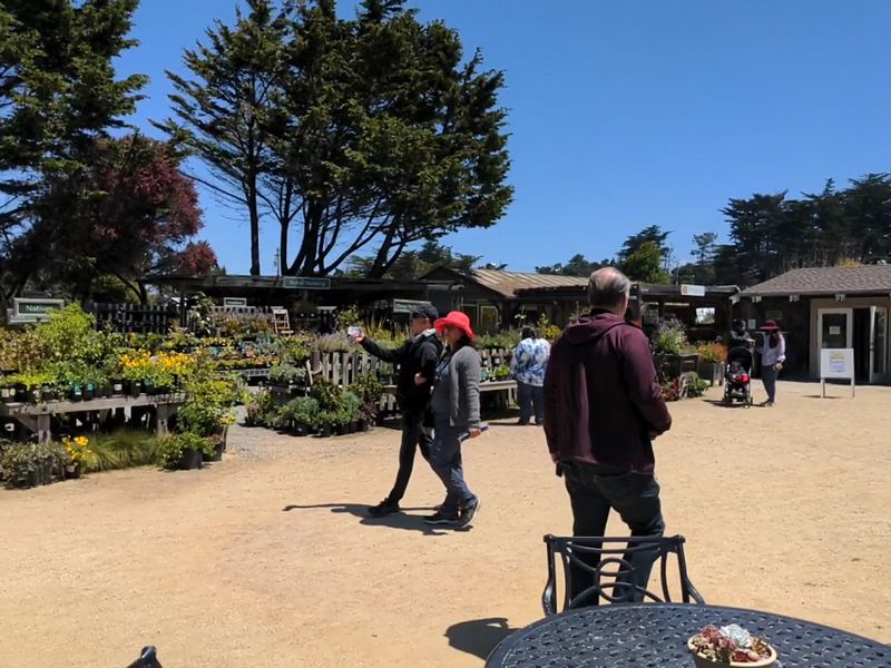 Your First Visit To This 47-Acre Magical Botanical Garden Hiding In California Will Stay With You - Decor Hint The Address Is Easy, But The Atmosphere Feels Secret