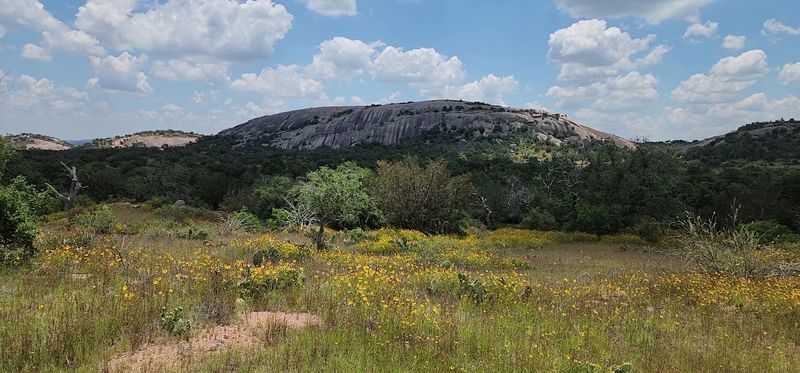 Enchanted Rock State Natural Area, Fredericksburg