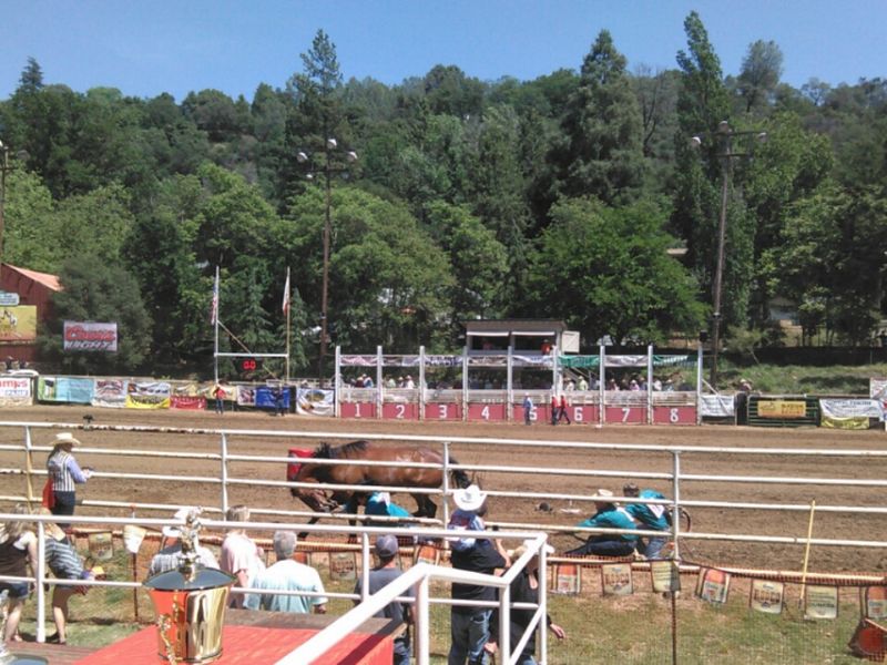 14 California Fairs That Make July Feel Like One Big Summer Celebration - Decor Hint Mother Lode Fair, Sonora, July 2–5