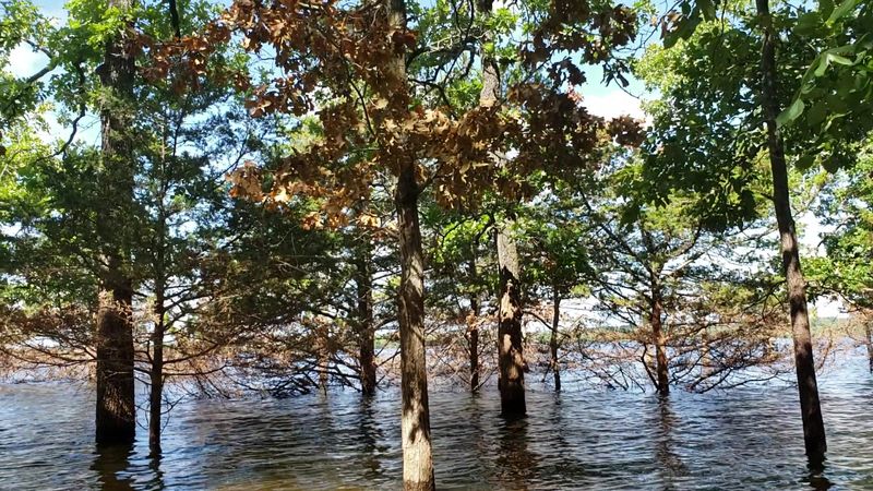 Pomme De Terre State Park