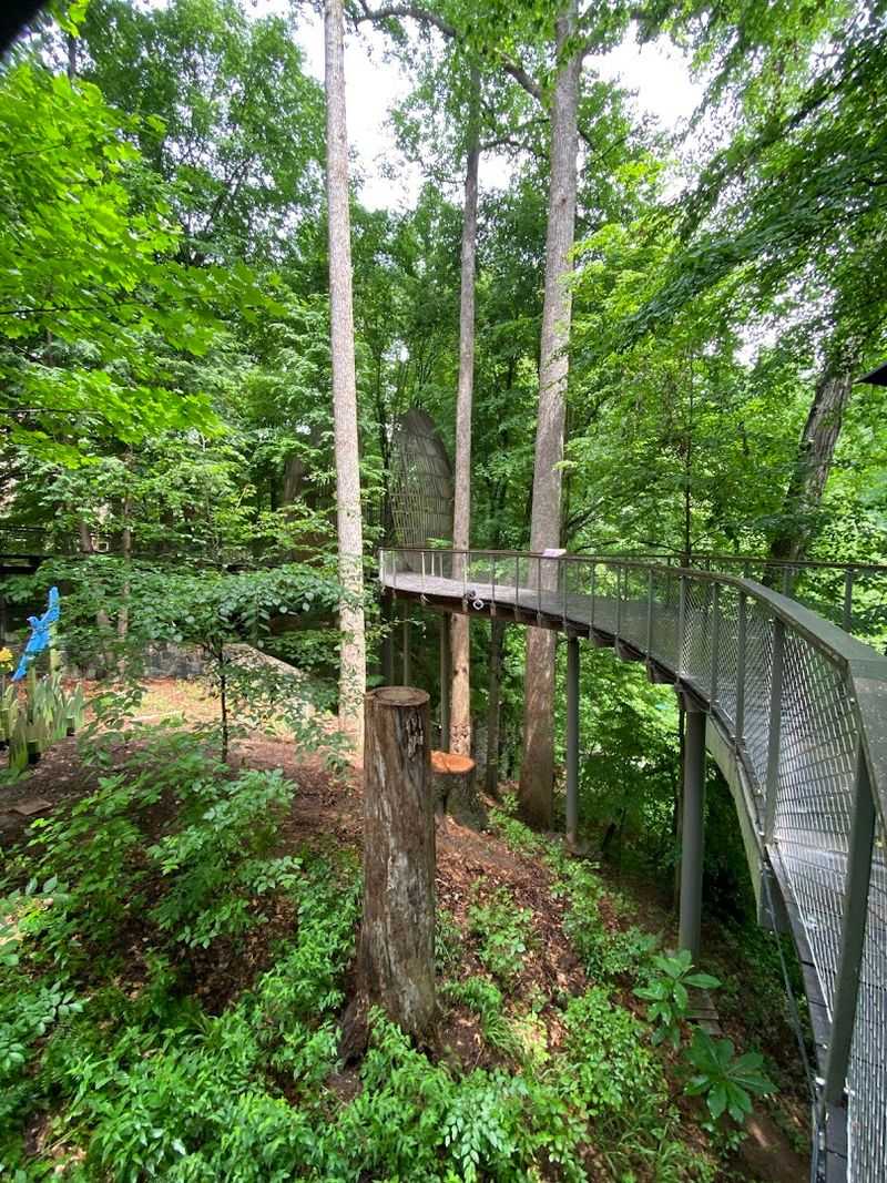 Fernbank Forest