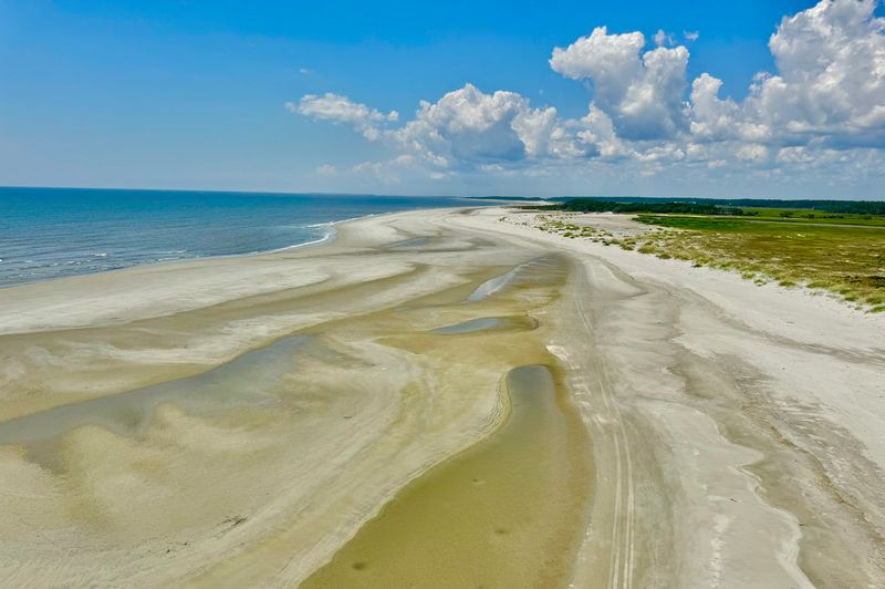 11 Georgia Coastal Beaches Where Seashell Hunters Strike Gold - Decor Hint Ossabaw Island Southend Beach