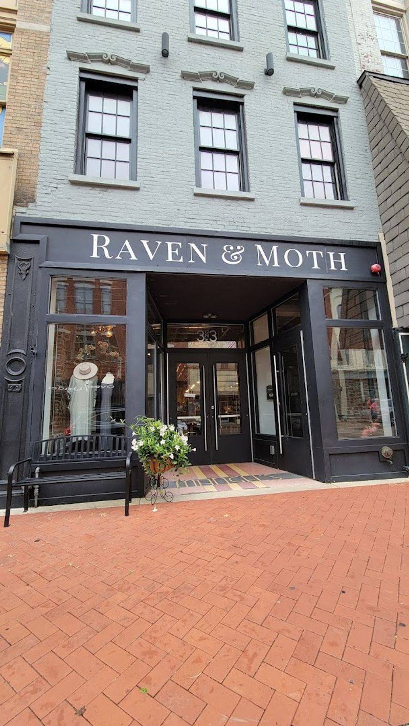 Raven And Moth