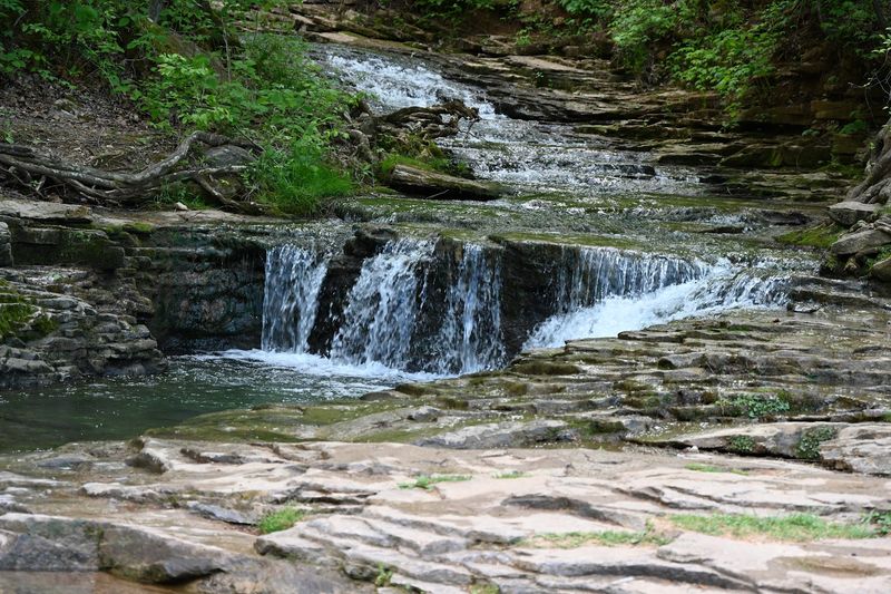 Saunders Springs Nature Preserve