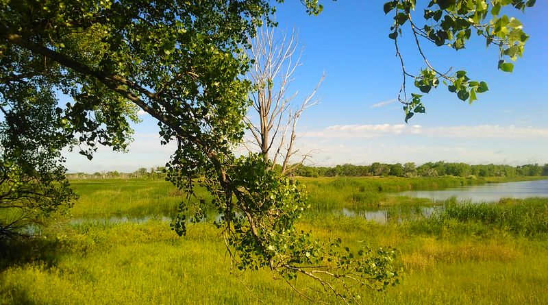 The Sightseer Lounge Makes Nebraska's Plains Worth Watching
