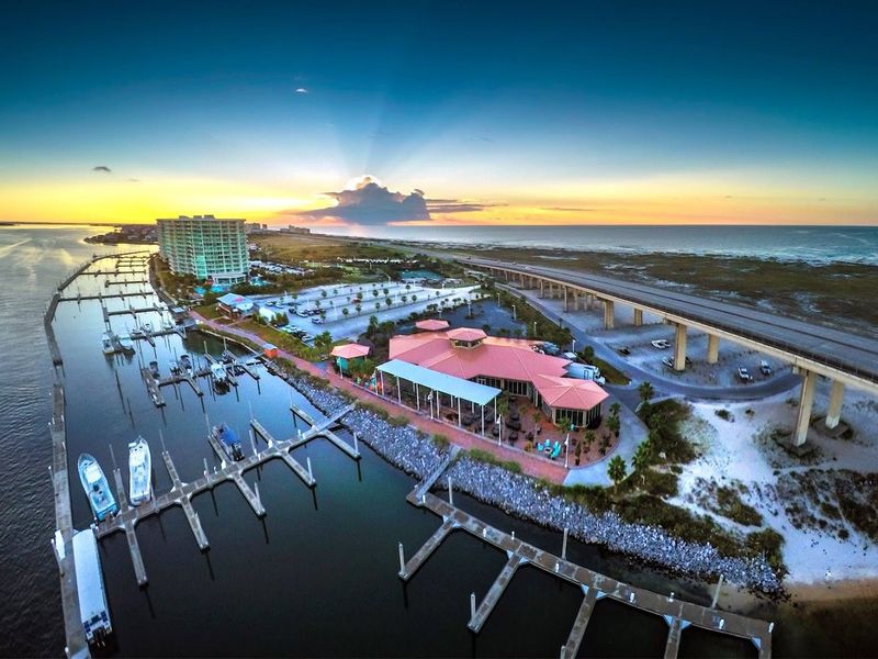 Pelican Island And Wild Florida