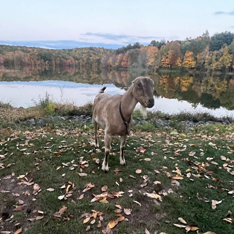 Why This Farm Feels Special