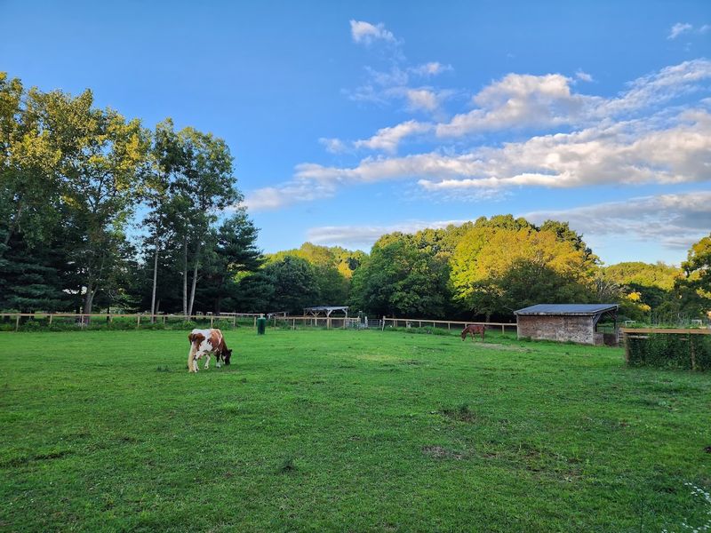 Why Families Love This Park
