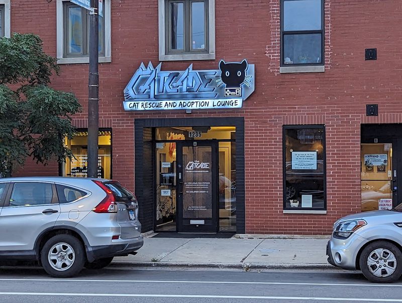 Why Lakeview Is The Right Neighborhood For This