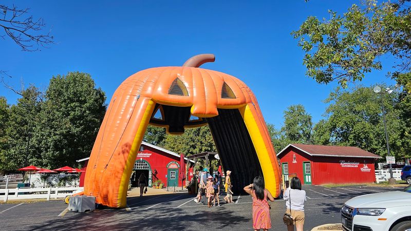 Seasonal Events That Transform The Farm