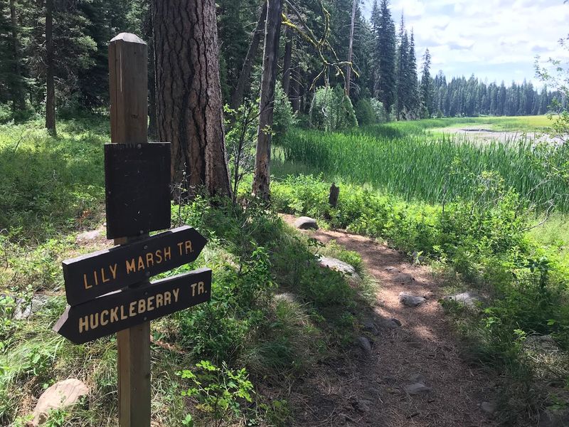 Ponderosa State Park, McCall