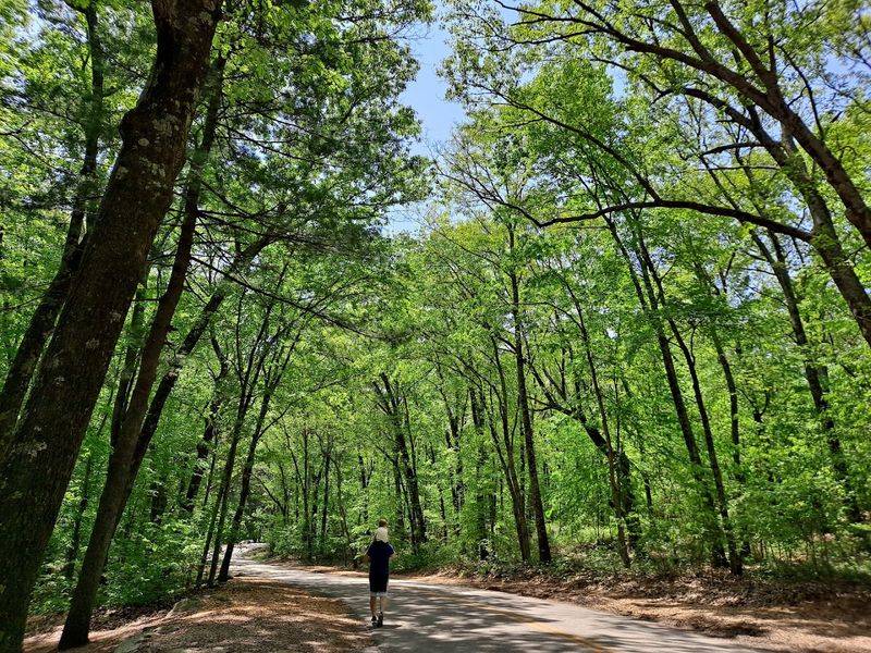 Lincoln Woods State Park