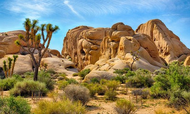 Anza-Borrego Badlands, Borrego Springs