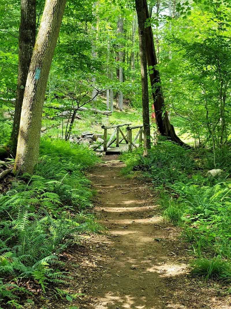 Macedonia Brook State Park, Kent