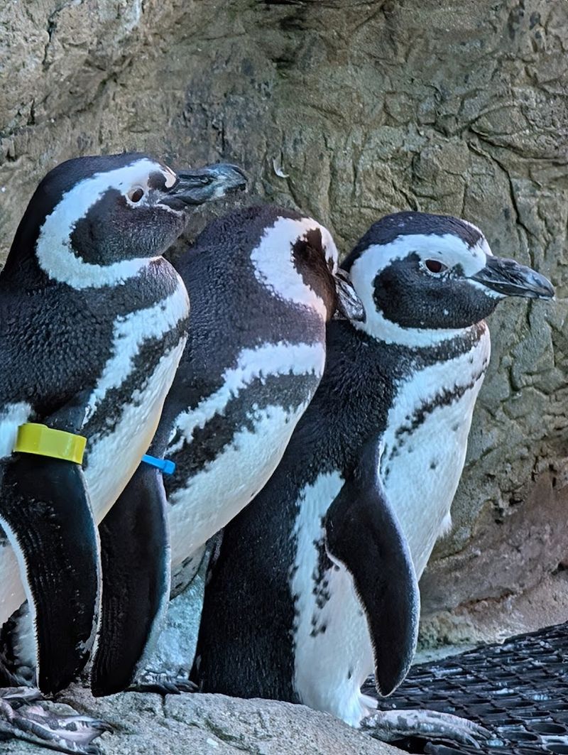 This Hidden Zoo In Michigan Is The Family Day Trip Most People Don't Know About - Decor Hint Seasonal Events That Make Every Visit Feel New