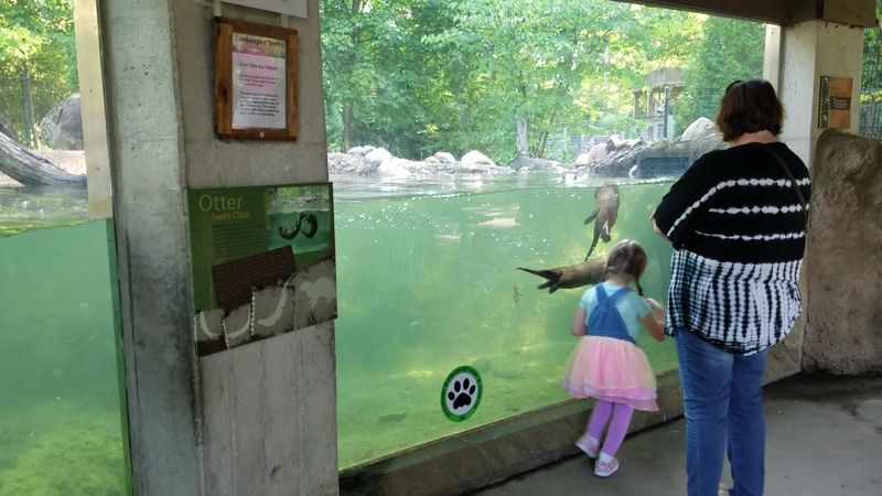 This Hidden Zoo In Michigan Is The Family Day Trip Most People Don't Know About - Decor Hint Over 160 Species Packed Into One Walkable Space