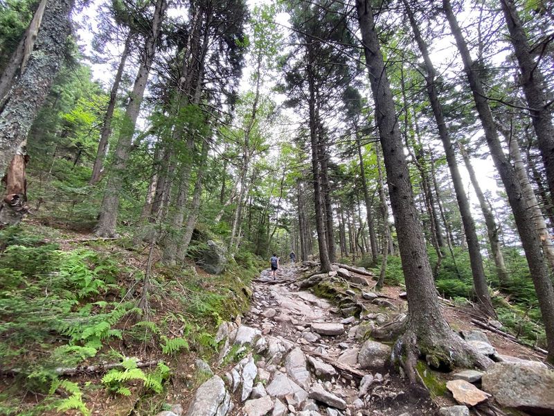 These 10 New Hampshire Easy Hikes That Save The Best Views For The Top - Decor Hint Mount Kearsarge, Warner