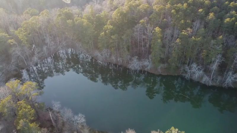 The Arabia Mountain Nature Preserve And Its Peaceful Forests