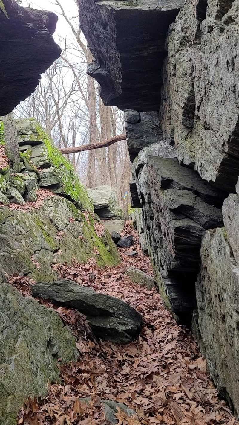 Tory Den And Mile Of Ledges, Burlington