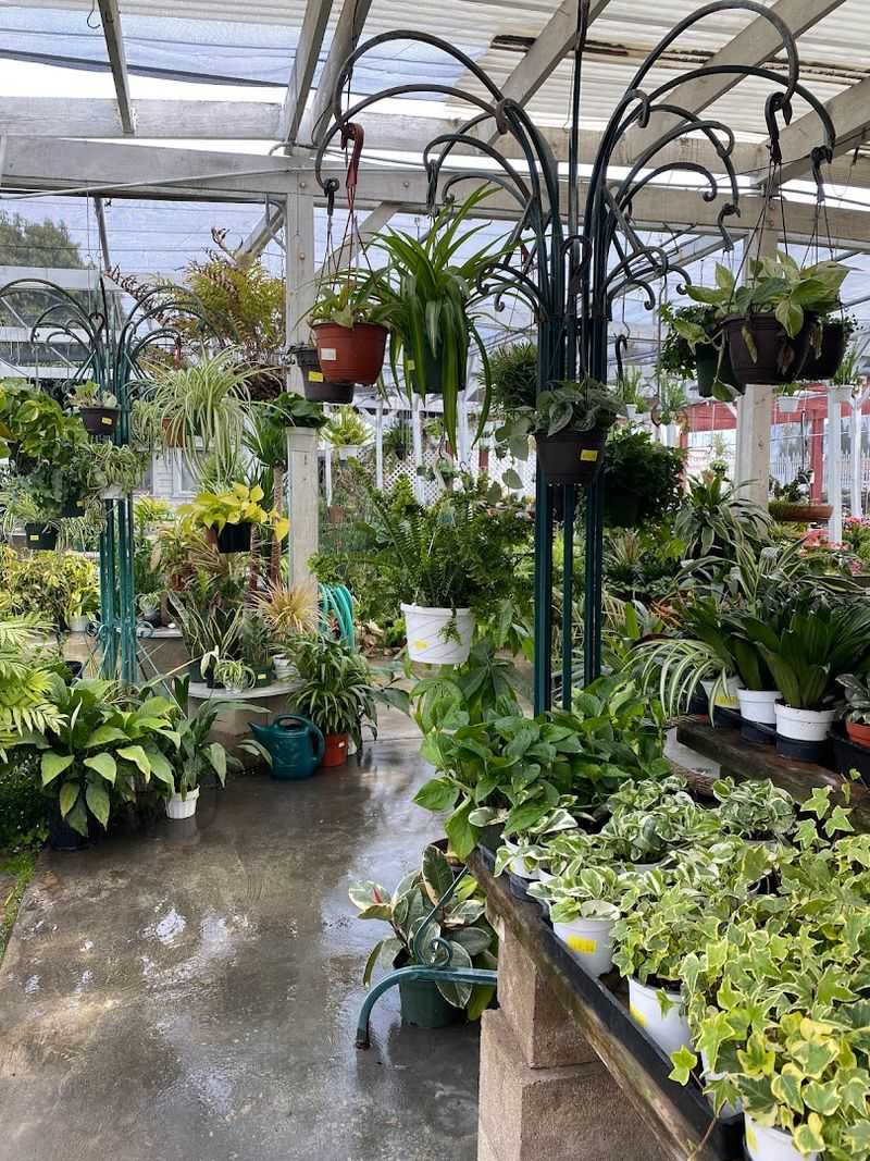 This Whimsical California Nursery Feels Like A Fairy Tale Garden Market - Decor Hint Cottage Flowers Add Soft Garden Charm