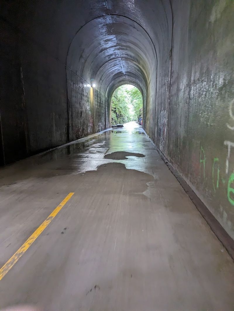 The Brushy Mountain Tunnel That Creates An Unforgettable Echo