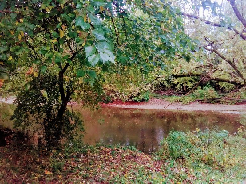 Big Blue River