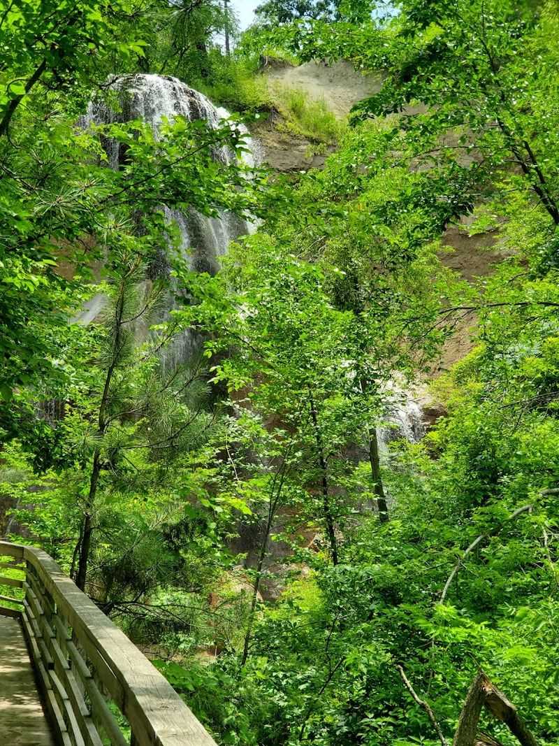 Rare Plants Make The Trail Feel Protected, Not Just Pretty