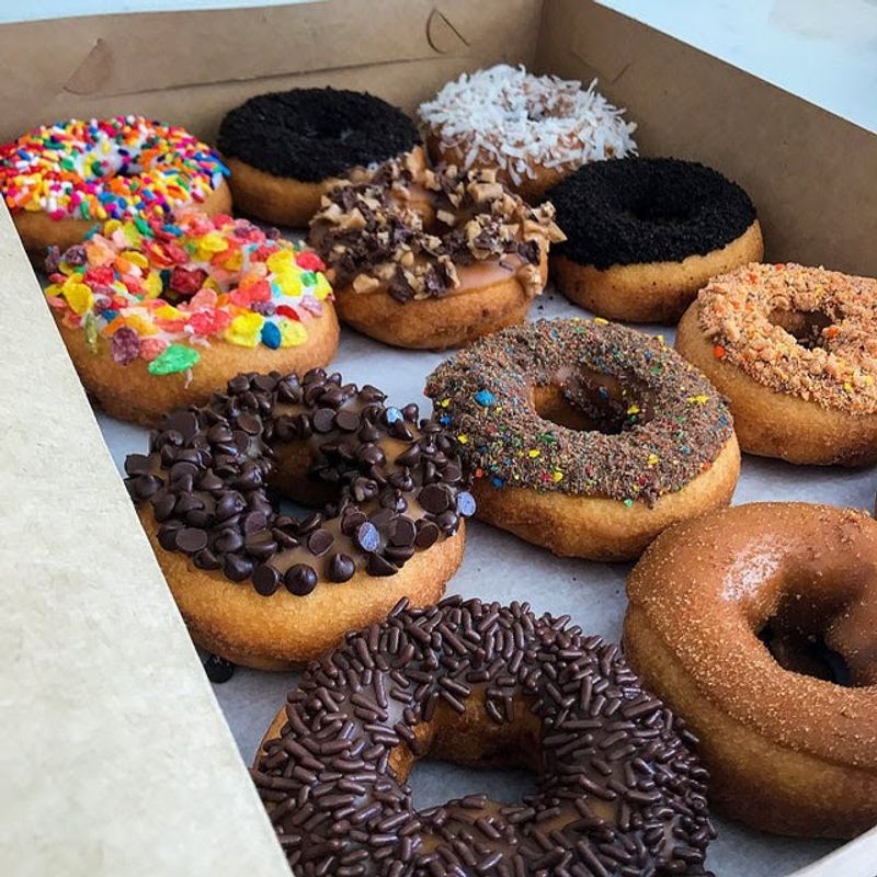 The Donut Experiment, Anna Maria