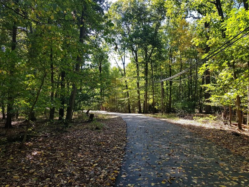 Wetlands Trail, Mt. Loretto Unique Area, Staten Island 