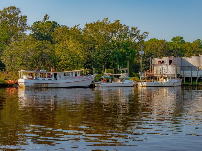 Bayou La Batre