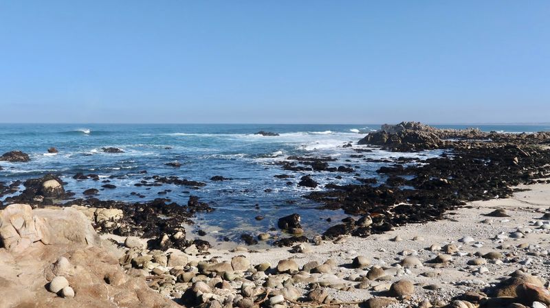 Point Pinos, Pacific Grove