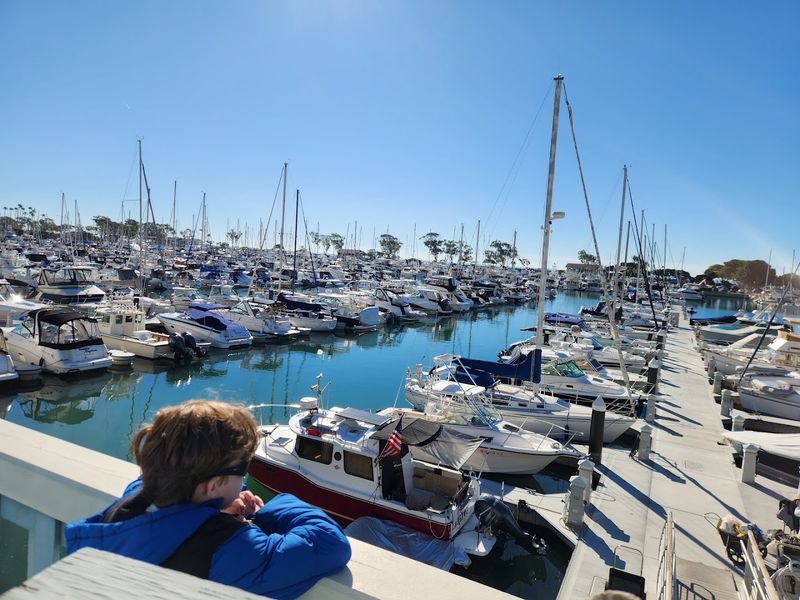 Dana Point, Dana Point Harbor