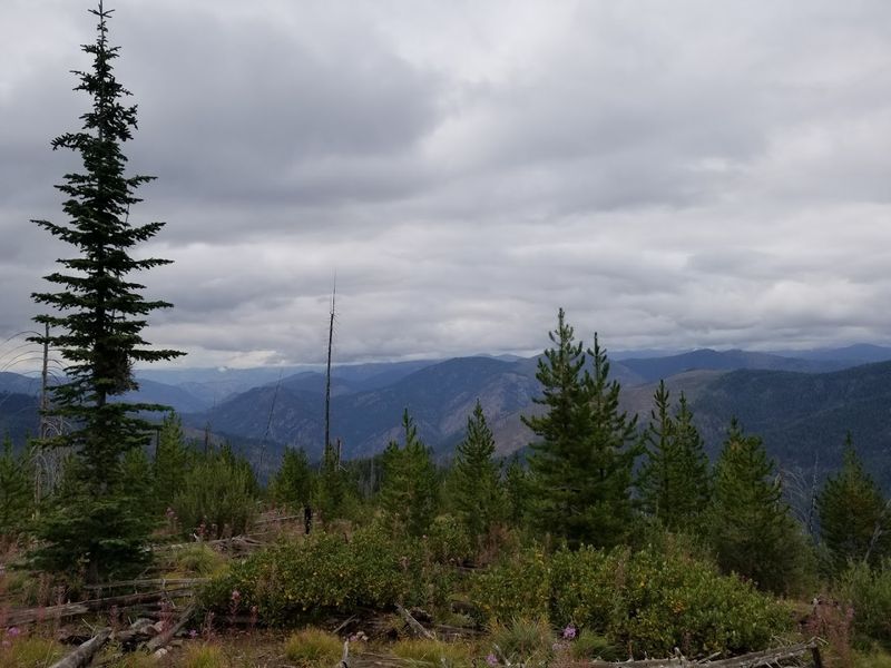 The Idaho Backcountry Road That Climbs Nearly 9,000 Feet And Feels Miles From Everything - Decor Hint Two Huge Wilderness Areas Press In On Both Sides