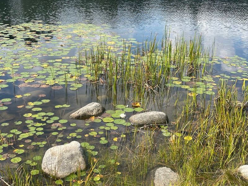The Beach At This Connecticut State Park Is A Favorite Among Those Who Know It - Decor Hint Exploring The Pond By Kayak And Paddleboard