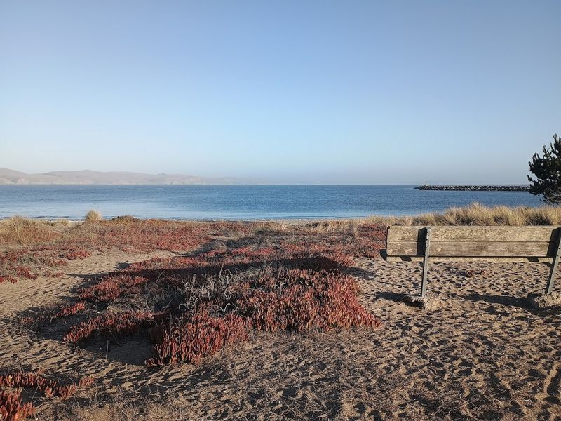 Doran Beach Sand Spit, Bodega Bay