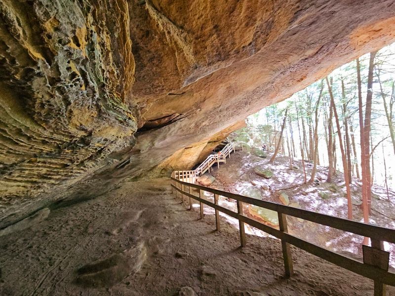 The Trail That Started It All