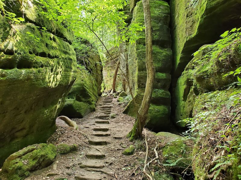 These 12 Alabama Day Trips Are Perfect For Exploring Year-Round - Decor Hint Dismals Canyon, Phil Campbell